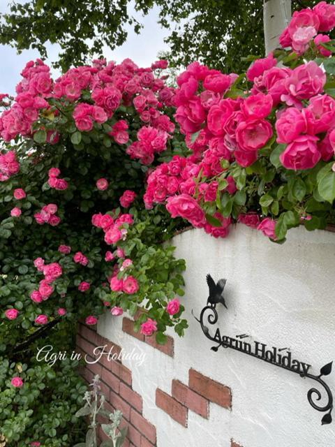 アグリインホリデー 弘前市 エクステリア 写真